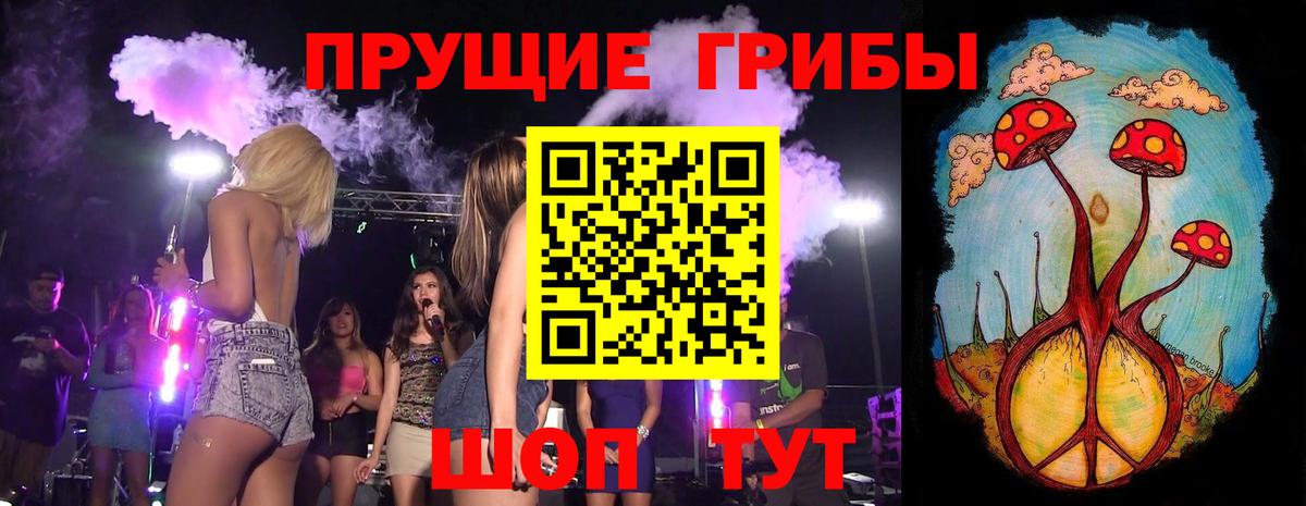 Дюртюли  Галлюциногенные грибы GOLDEN TEACHER  Вход с VPN 